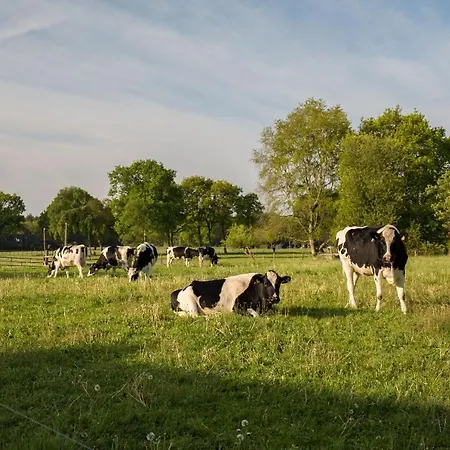 Landelijk Logeren Bij De Witte Kip 't Harde