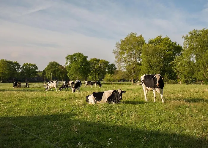 Landelijk Logeren Bij De Witte Kip 't Harde