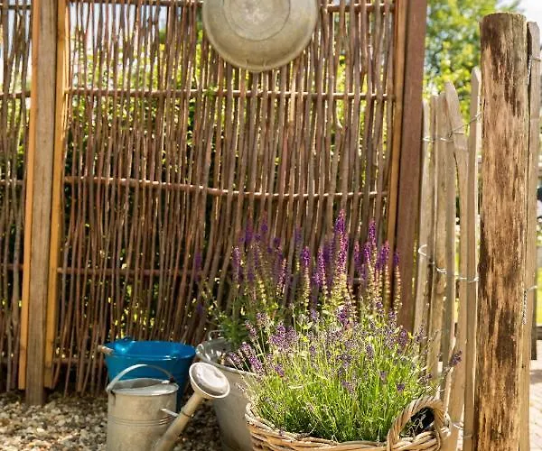 Landelijk Logeren Bij De Witte Kip Pensión 3*