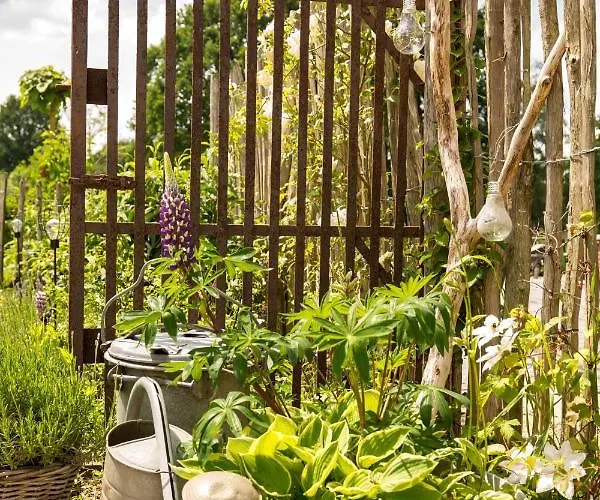 Landelijk Logeren Bij De Witte Kip Pensión 3*