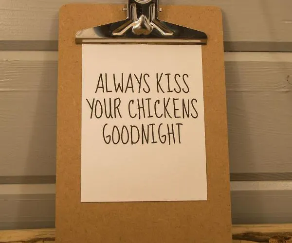 Landelijk Logeren Bij De Witte Kip 't Harde