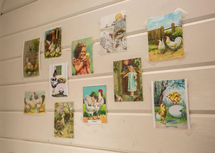 Landelijk Logeren Bij De Witte Kip Affittacamere 3*