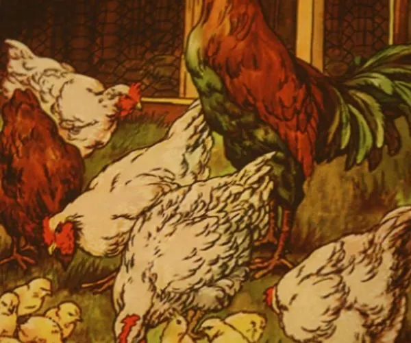 Affittacamere Landelijk Logeren Bij De Witte Kip 3*