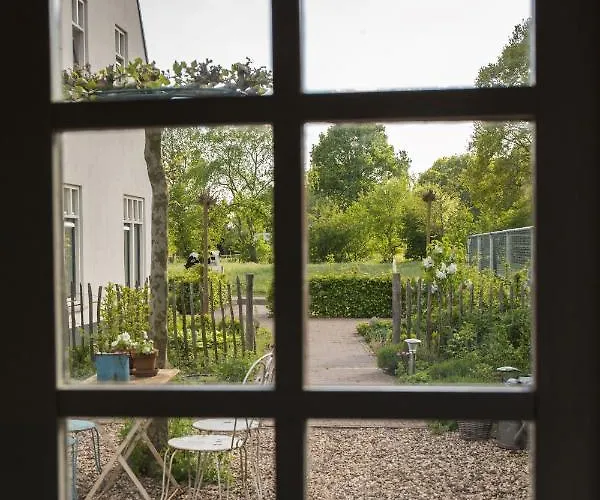 Affittacamere Landelijk Logeren Bij De Witte Kip 't Harde