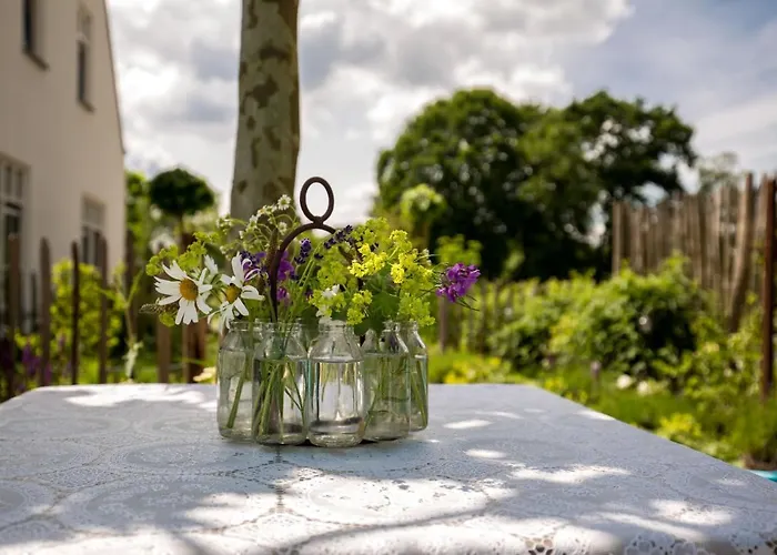 Landelijk Logeren Bij De Witte Kip Affittacamere 't Harde
